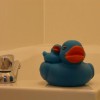 If you need some company in the bath!